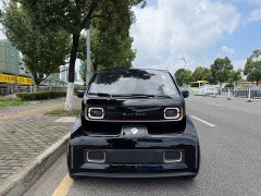 Baojun KiWi EV Artist’s Light Edition Lithium Iron Phosphate - фото 1