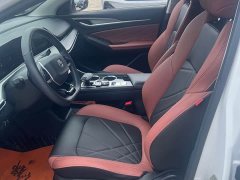 Ford Eado Enjoy Edition PLUS Blue Whale NE 1.4T GDI DCT Premium Edition - фото 6