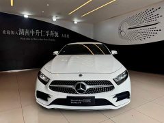 Mercedes-Benz CLS 2021 CLS 300 luxury - фото 3
