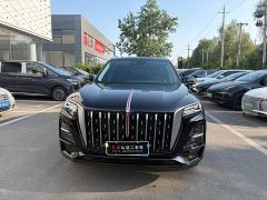 Hongqi HS5 2025 2.0T two-wheel drive Qixiang Pro version - фото 2