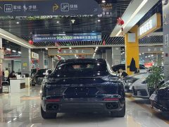 Porsche Panamera 2.9T Platinum Edition - фото 16