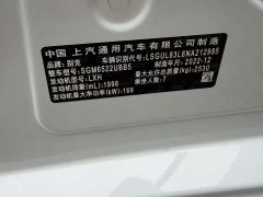 Buick GL8 2023 ES Lu Zun Comfort Type - фото 10