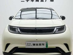 BYD Dolphin 2021 405km fashion version - фото 3