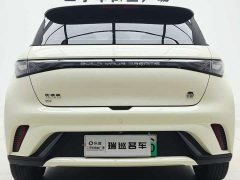 BYD Dolphin 2021 405km fashion version - фото 6