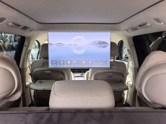 AITO Wenjie M9 extended range Ultra version 52kWh 5-seater version - фото 19
