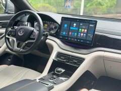 BYD Song PLUS New Energy 2021 DM-i 51KM Honor Type - фото 11