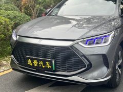 BYD Song PLUS New Energy 2021 DM-i 51KM Honor Type - фото 19