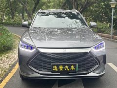 BYD Song PLUS New Energy 2021 DM-i 51KM Honor Type - фото 2