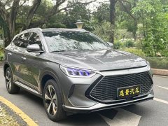 BYD Song PLUS New Energy 2021 DM-i 51KM Honor Type - фото 3
