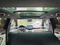 BYD Song PLUS New Energy 2021 DM-i 51KM Honor Type - фото 9