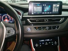 Changan CS75 Blue Whale Edition 1.5T DCT Luxury - фото 13
