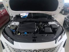 Ford Eado 1.5T GDI automatic premium - фото 20