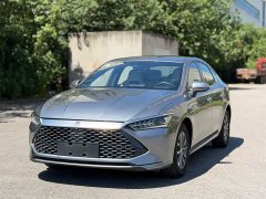 BYD Qin PLUS 2023 Champion Edition DM-i 55KM Leading Type - фото 1