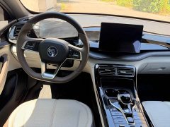BYD Qin PLUS 2023 Champion Edition DM-i 55KM Leading Type - фото 12