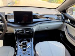 BYD Qin PLUS 2023 Champion Edition DM-i 55KM Leading Type - фото 13