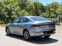 BYD Qin PLUS 2023 Champion Edition DM-i 55KM Leading Type - фото 6