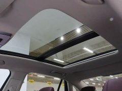 Hongqi H5 2023 2.0T Automatic Zhilianqichang Edition - фото 16