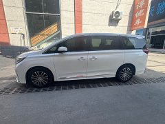 GAC Trumpchi M8 2021 Master Edition 390T Supreme - фото 3