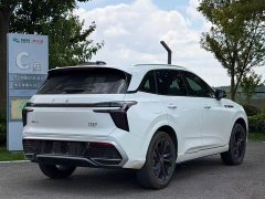 Hongqi HS3 PHEV 125km Jinwei PLUS 2 million commemorative edition - фото 7