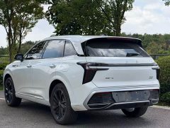 Hongqi HS3 PHEV 125km Jinwei PLUS 2 million commemorative edition - фото 9