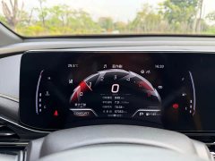 Trumpchi Shadow Leopard 2023 270T DCT J15 version - фото 16