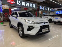 Lexus Wilanda 2021 Dual Engine 2.5L E-CVT Four-wheel Drive Deluxe Edition - фото 3