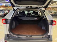 Lexus Wilanda 2021 Dual Engine 2.5L E-CVT Four-wheel Drive Deluxe Edition - фото 6