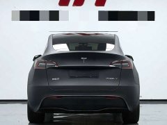 Tesla Model Y Standard Range Edition - фото 11