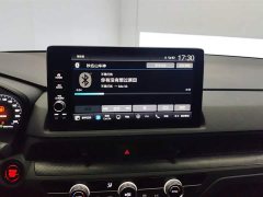 Lexus Haoying 2023 240TURBO two-wheel drive luxury version 5 seats - фото 13