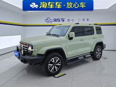 Tank 300 2023 City Edition 2.0T Very Stylish - фото 1