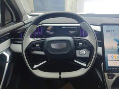 Geely Boyue L 1.5TD DCT Honor Edition - фото 15