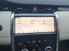 Lexus Discovery Sport 2020 249PS R-Dynamic Performance Edition - фото 13