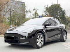 Tesla Model Y Edition - фото 1
