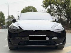 Tesla Model Y Edition - фото 2
