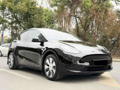 Tesla Model Y Edition - фото 3