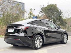 Tesla Model Y Edition - фото 4