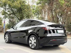 Tesla Model Y Edition - фото 5