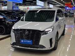Buick GL8 ES Luxury Version - фото 1