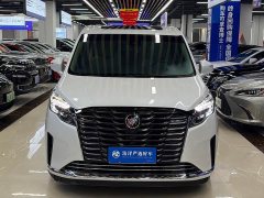 Buick GL8 ES Luxury Version - фото 2