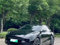 Tesla Model Y Edition - фото 1