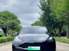 Tesla Model Y Edition - фото 2
