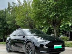 Tesla Model Y Edition - фото 3