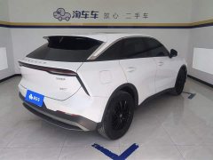 Lynk & Co Venucia Big V 2022 260T Dark Horse Edition Idol - фото 3