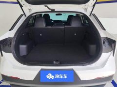 Lynk & Co Venucia Big V 2022 260T Dark Horse Edition Idol - фото 4
