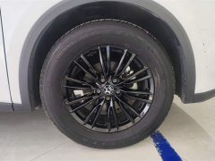 Lynk & Co Venucia Big V 2022 260T Dark Horse Edition Idol - фото 6