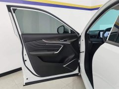 Lynk & Co Venucia Big V 2022 260T Dark Horse Edition Idol - фото 7