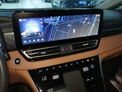 Hongqi HQ9 PHEV 2.0T AWDBusiness Edition - фото 13