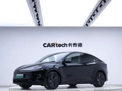 Tesla Model Y Edition - фото 1