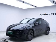 Tesla Model Y Edition - фото 6