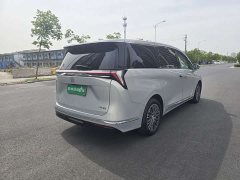 Buick GL8 New Energy Lu Zun Luxury Edition 7 seats - фото 9